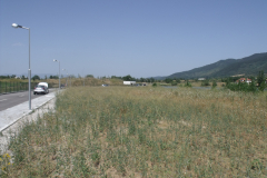 DSCF9608